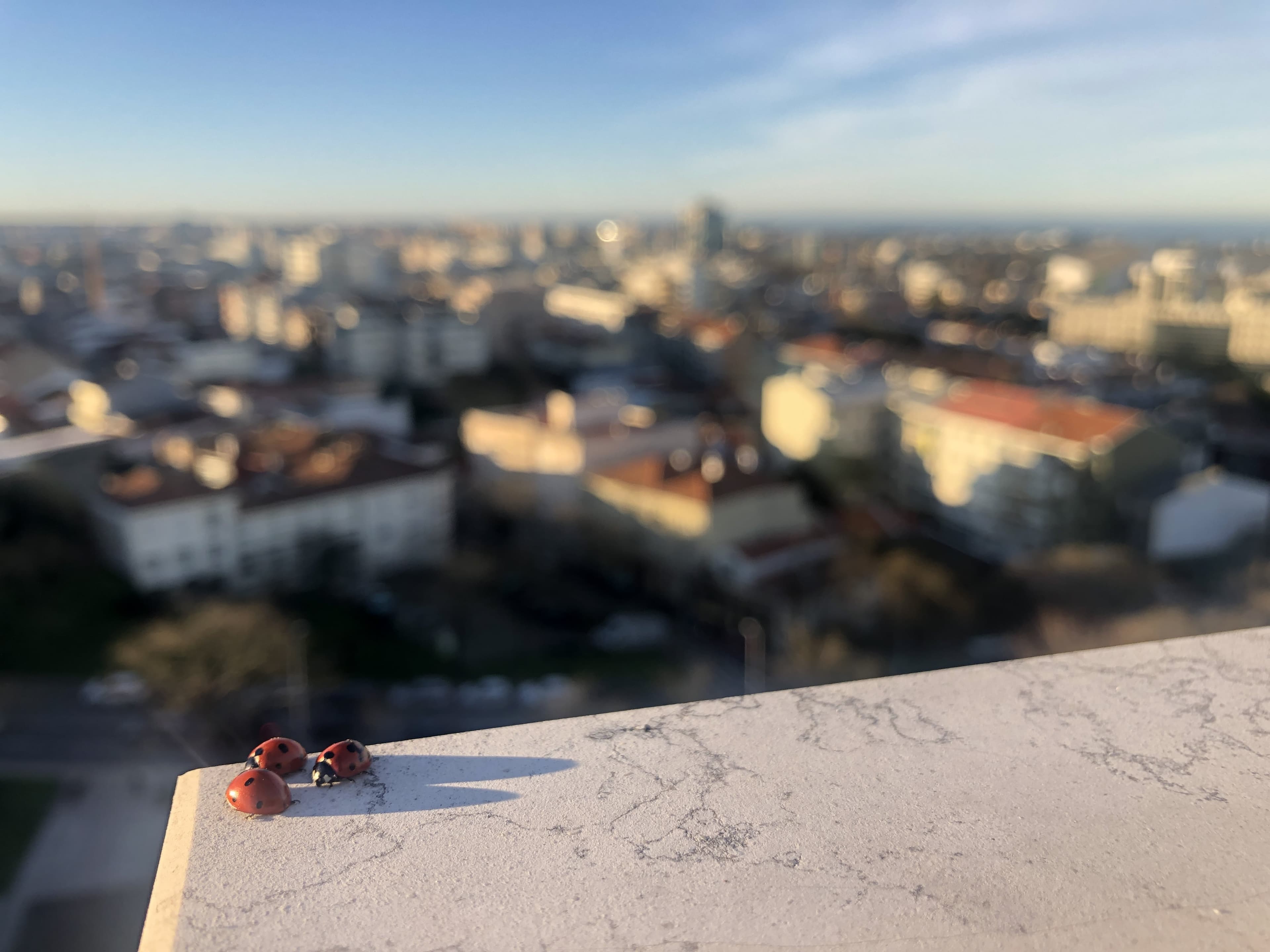 I Turned My Apartment Into a Furnished Rental — Here's What I Learned About Property Inventory