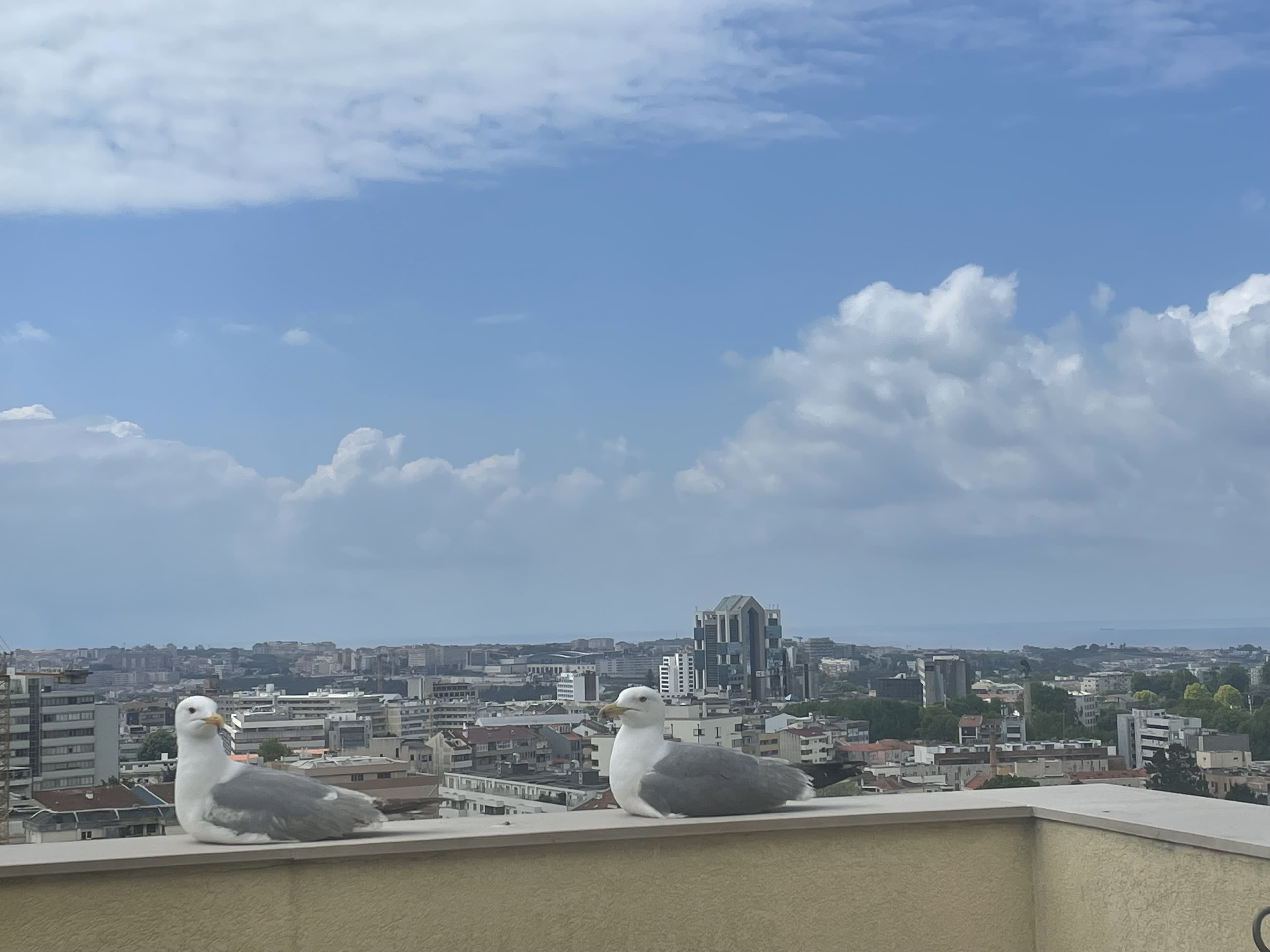 Outdoor terrace in Porto apartment